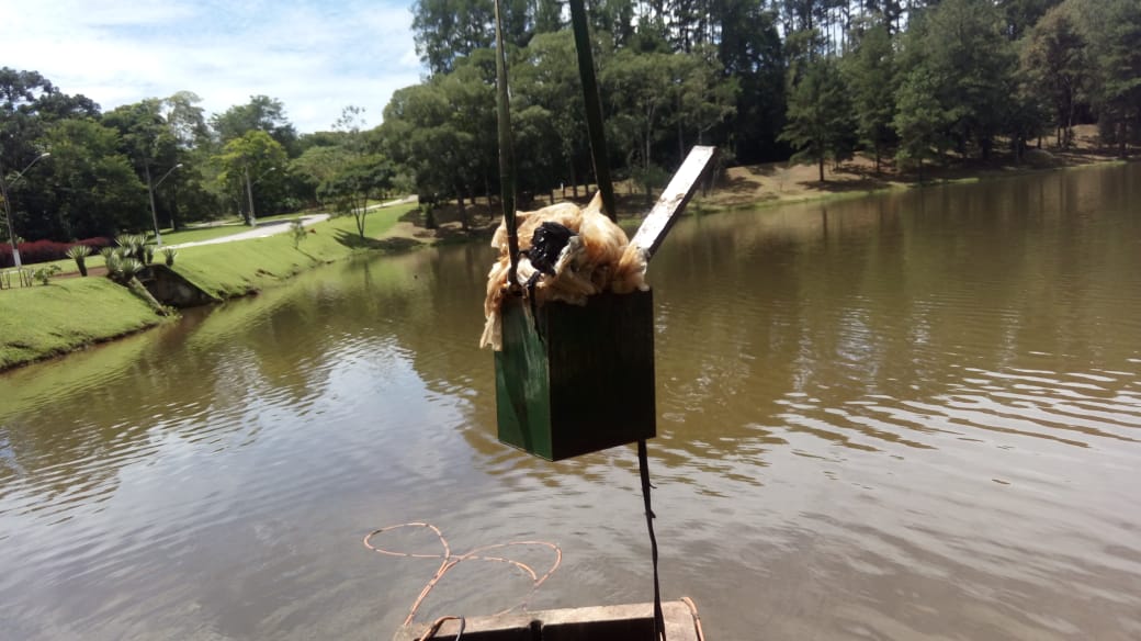 Reserva Ibirapitanga